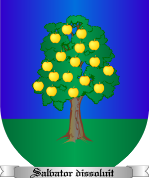 ESCUDO ALEATORIO